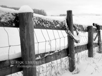 Winter Fence